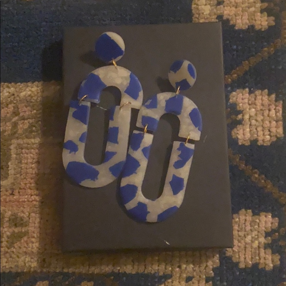 Blue and White Earrings